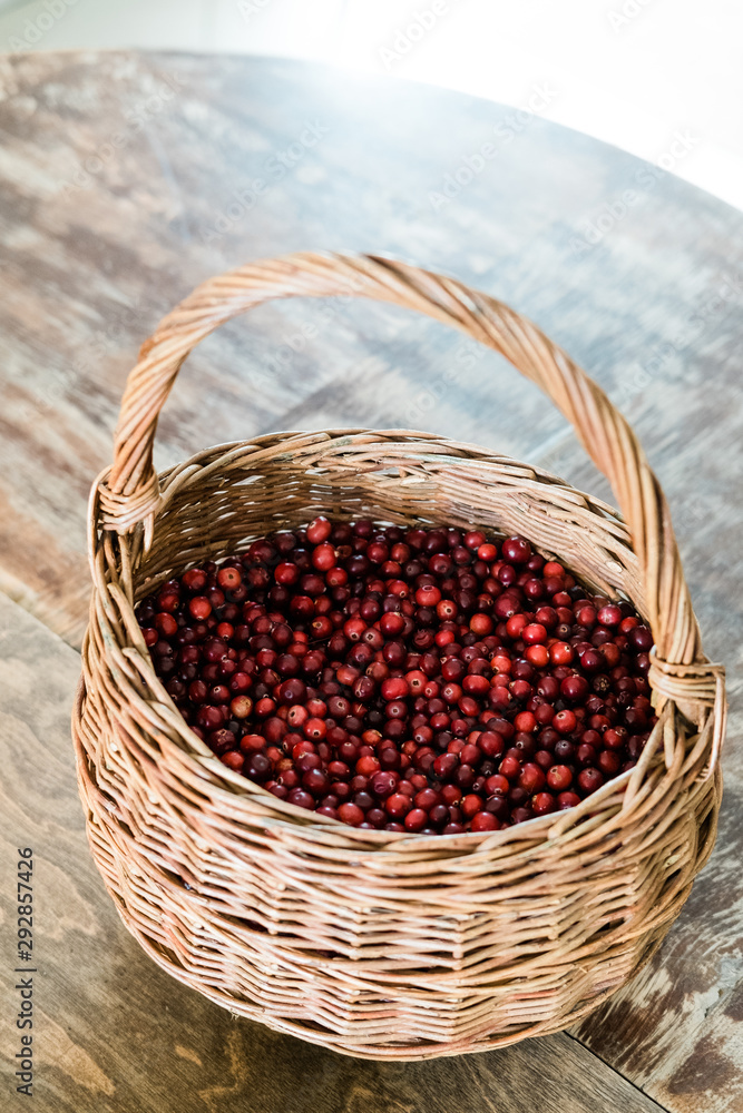 basket with cranberries on a background basket with cranberries on a background
