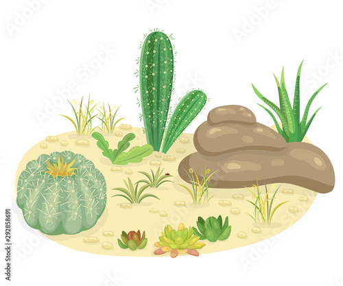 Illustration of stones and cacti in the desert