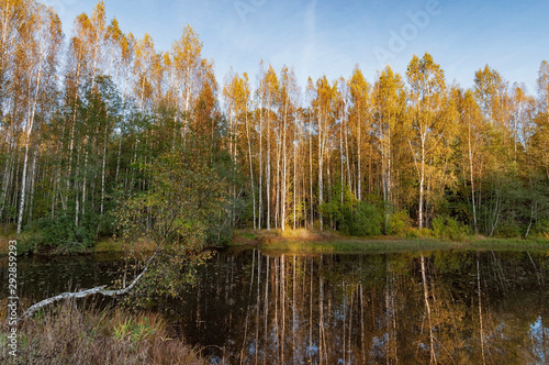 View of the river and wooded banks in autumn evening