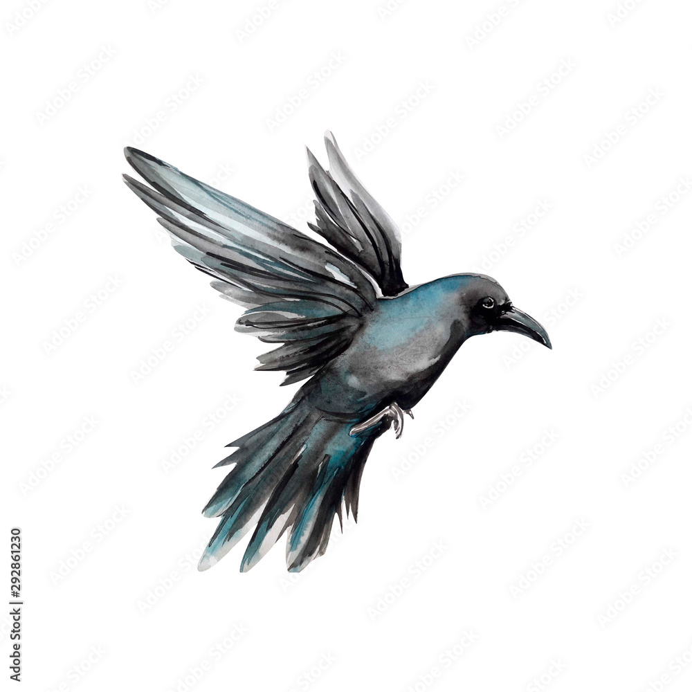 Naklejka premium Czarny, wrona, ptak, kolor wody, sztuka