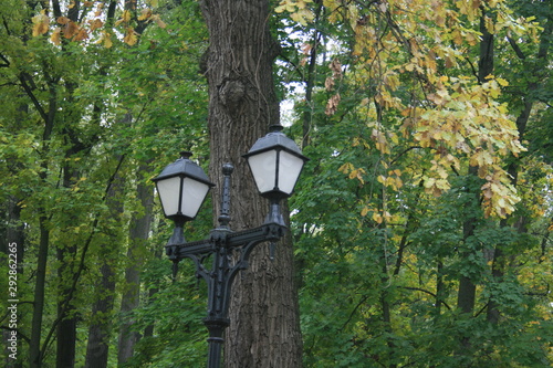 old street lamp in the park