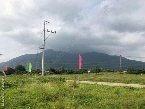 wind turbines in the field