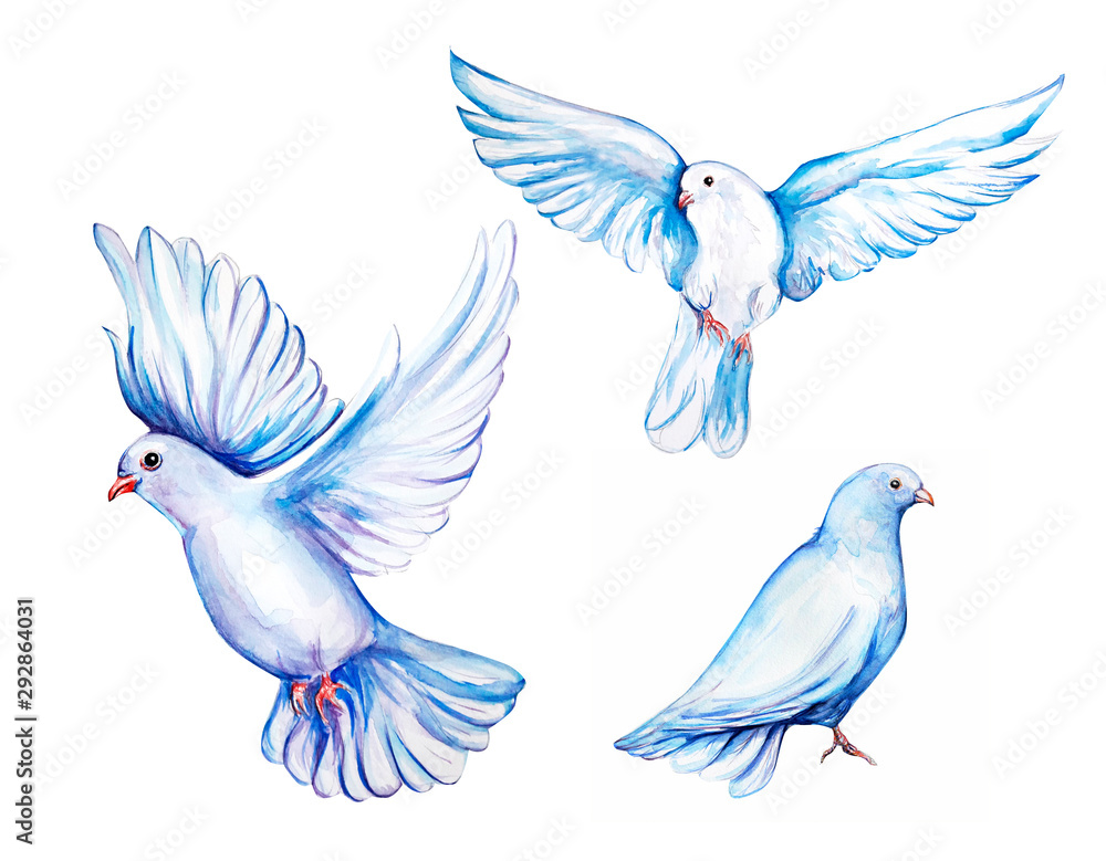 Dove flying bird in sketch style outline Vector Image