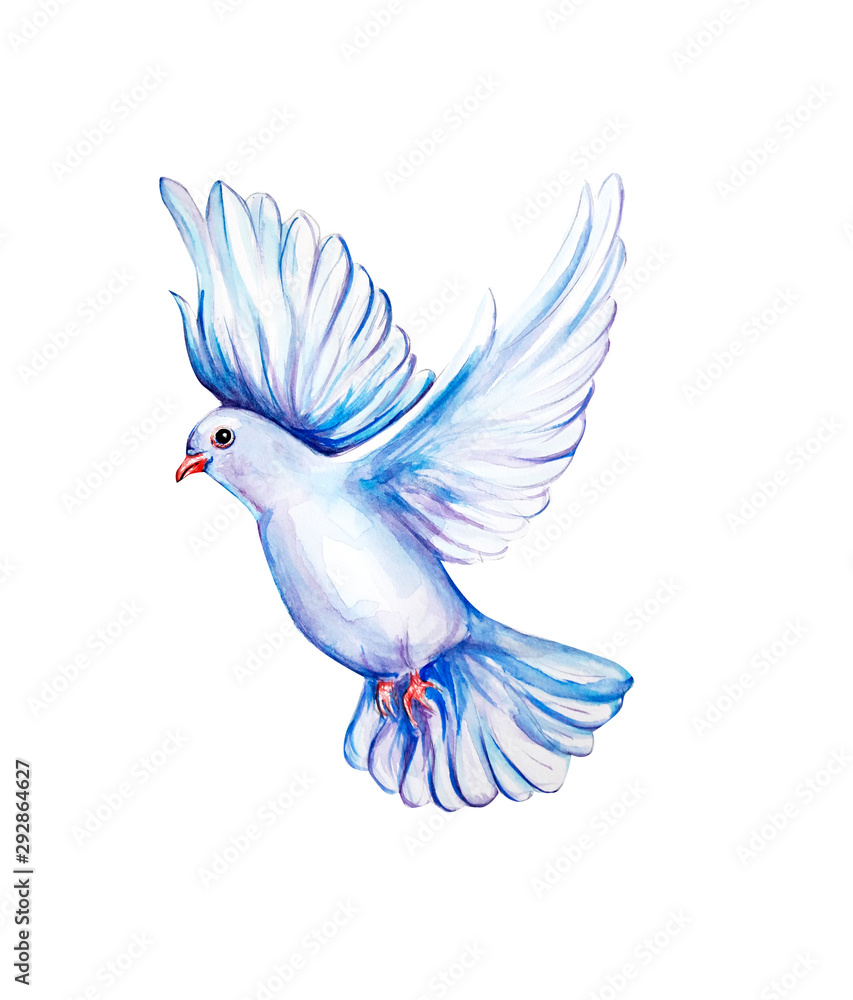 Peace bird, dove, art, water color drawing Peace bird, dove, art, water color drawing
