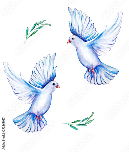 Peace bird, dove, art, water color drawing © NATALIIA TOSUN