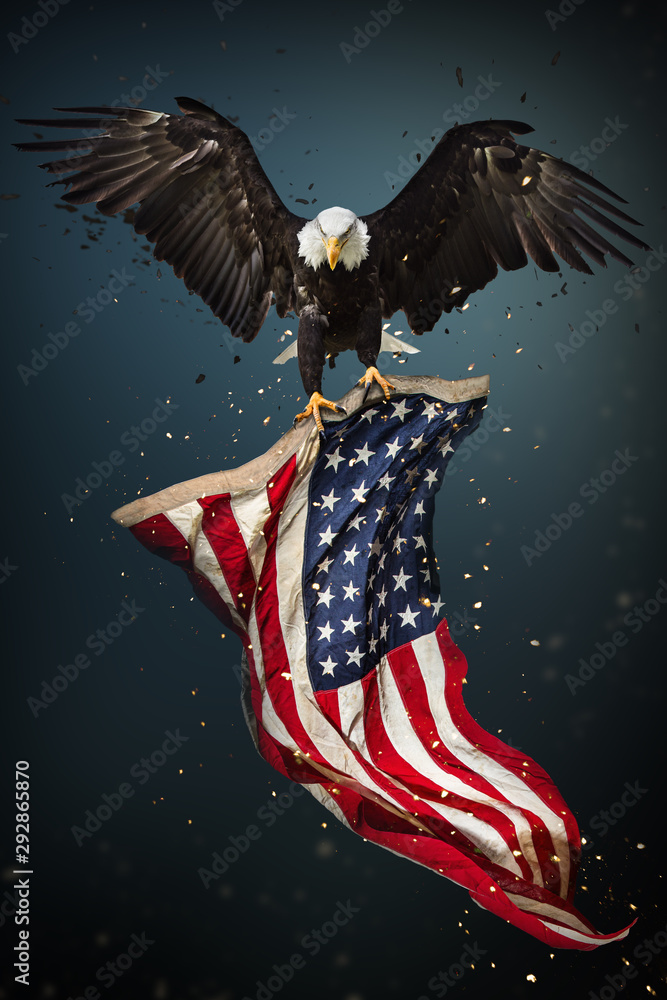 Foto De American Bald Eagle Flying Symbol Of America with Flag Foto De American Bald Eagle Flying Symbol Of America with Flag