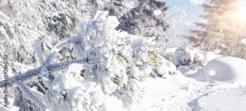 winter wonderland - winter landscape with snowflakes, blue sky background © Corri Seizinger