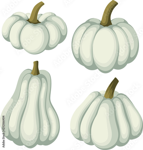 Set of the different form and color pumpkin cartoon style, vector illustration. elements for autumn decoration