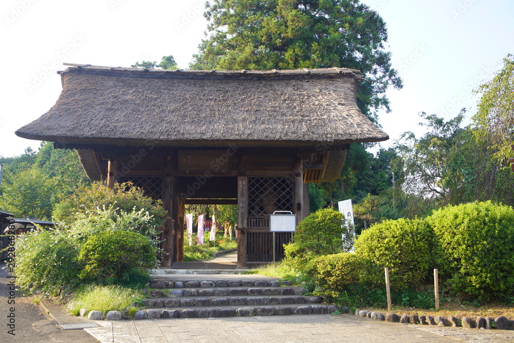 塩船観音寺