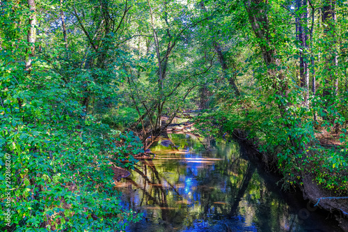 Fototapeta Naklejka Na Ścianę i Meble -  A Calm River in Summer Light and Shadow