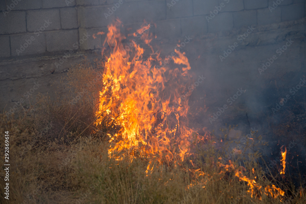 Dry grass burns in a field with smoke and fire. Dry grass burns in a field with smoke and fire.