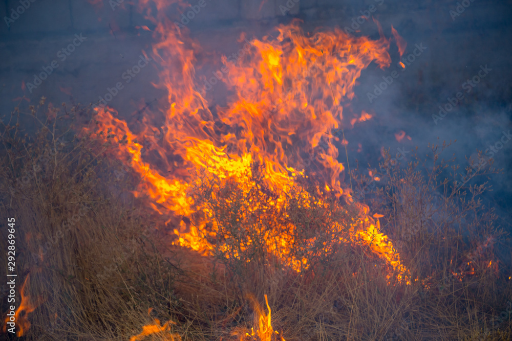 Dry grass burns in a field with smoke and fire.