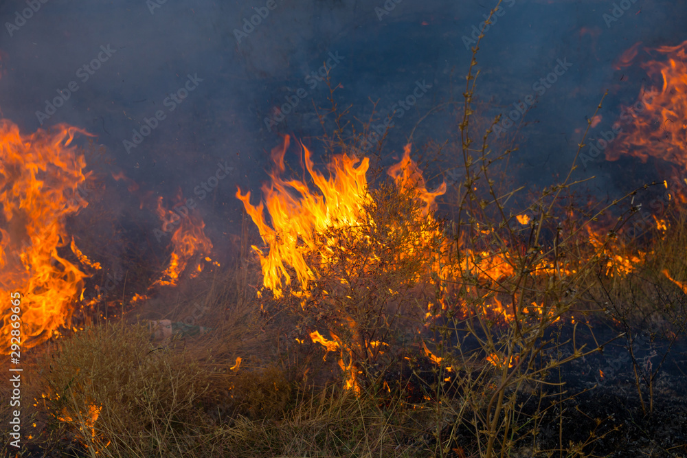 Dry grass burns in a field with smoke and fire.