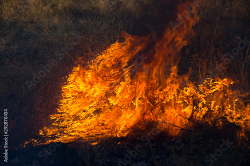 Dry grass burns in a field with smoke and fire. © donikz