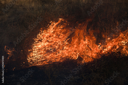 Dry grass burns in a field with smoke and fire.