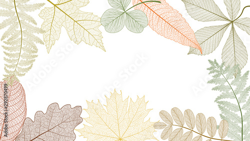 Beautiful background with colored leaves .Vector illustration. EPS 10