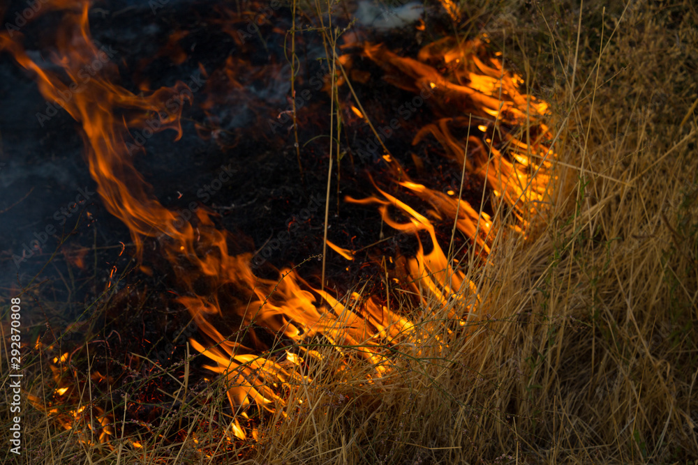 Dry grass burns in a field with smoke and fire. Dry grass burns in a field with smoke and fire.