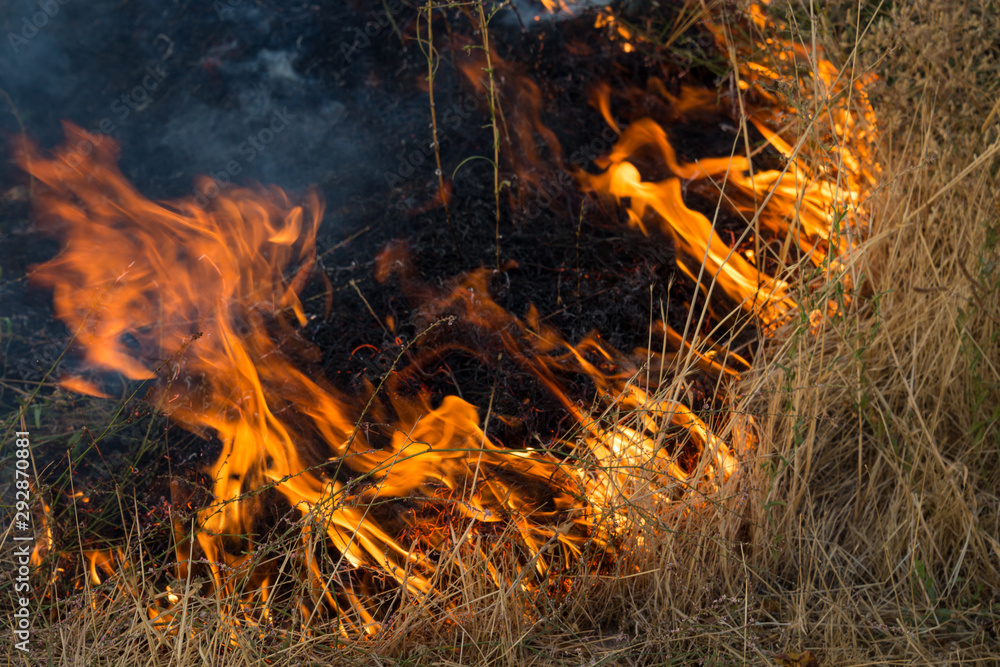 Dry grass burns in a field with smoke and fire. Dry grass burns in a field with smoke and fire.