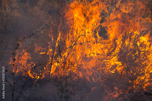 Dry grass burns in a field with smoke and fire.