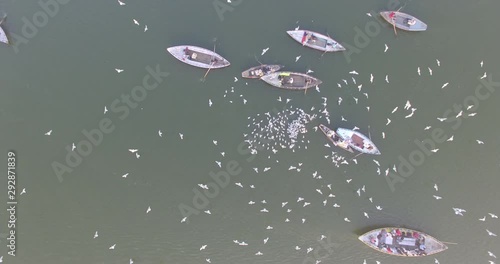 Drone shot directly above a flock of birds circling a fishing boat in the harbor in Varanasi, India.  photo