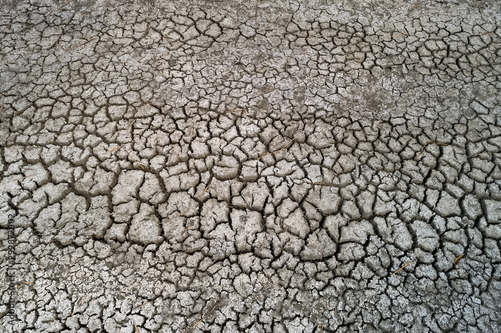 Dry lake bed with natural texture of cracked clay in perspective floor Dry lake bed with natural texture of cracked clay in perspective floor