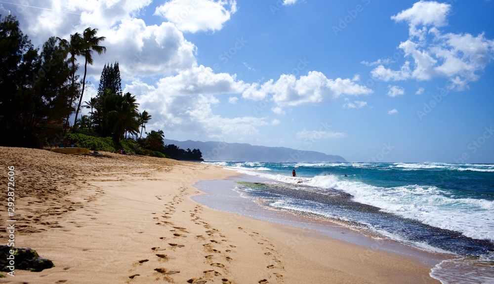 Fototapeta premium beach