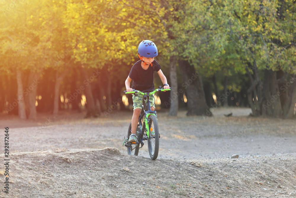 Happy kid boy of 7 years having fun in autumn park with a bicycle on beautiful fall day. Active child wearing bike helmet Happy kid boy of 7 years having fun in autumn park with a bicycle on beautiful fall day. Active child wearing bike helmet