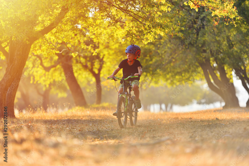 Fototapeta premium Happy kid boy of 7 years having fun in autumn park with a bicycle on beautiful fall day. Active child wearing bike helmet