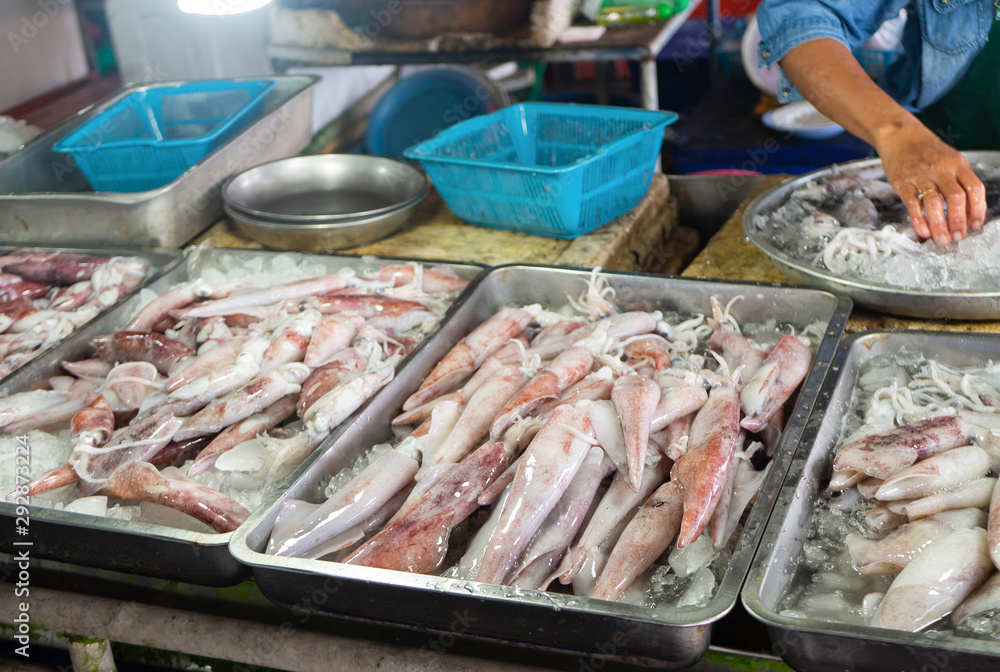 Fresh squids at thai seafood market
