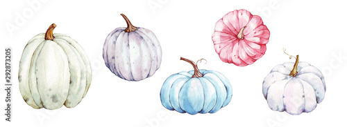 Beautiful pumpkins on isolated white background. Autumn set of elements on isolated white background. Watercolor illustration. Hand drawing. It is perfect for thanksgiving cards or posters, halloween © Tatiana 