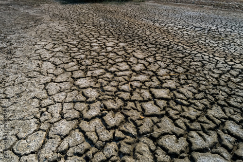 Dry lake bed with natural texture of cracked clay in perspective floor