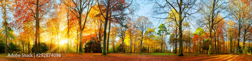 Fotografia, Obraz Colorful autumn scenery in a park
