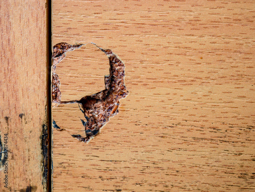 A closeup of the damaged chipboard - material for furniture photo