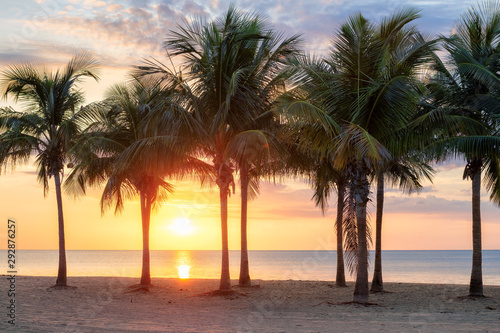 Fototapeta Naklejka Na Ścianę i Meble -  Coconut palm trees on tropical beach at sunrise in Florida Keys.