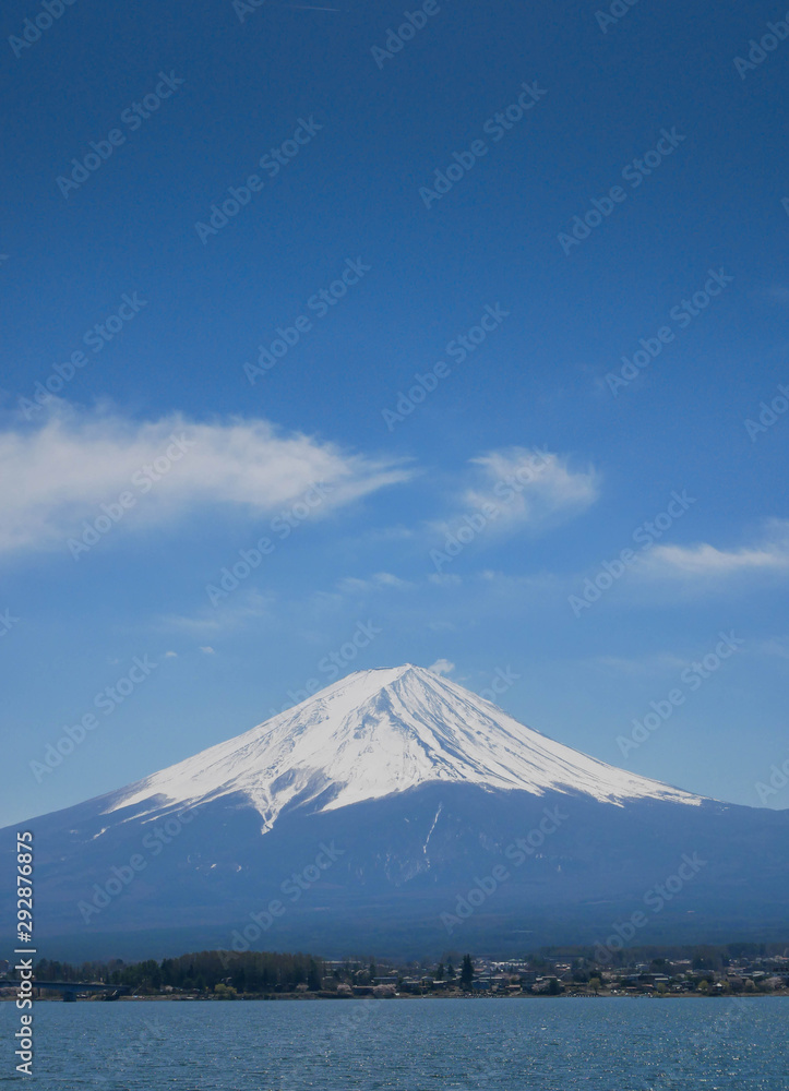 Natural landscape view of the Kawaguchi Lake with mount Fuji-the most beautiful vocano- and sakura tree (pulm,cherry blossom tree) in full bloom spring time in Japan
