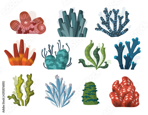 Set of cartoon underwater plants and creatures. Vector isolated corals and algae.