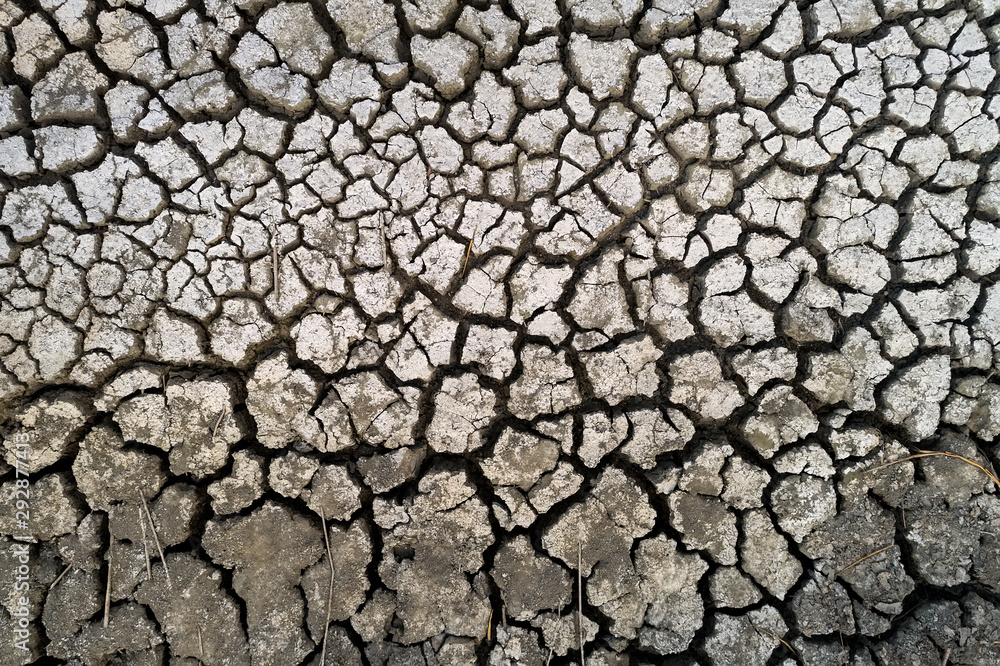 Dry lake bed with natural texture of cracked clay in perspective floor Dry lake bed with natural texture of cracked clay in perspective floor