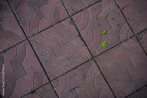 Texture of paving slabs. Background image of a stratum stone