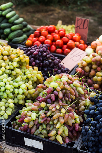 Fototapeta Naklejka Na Ścianę i Meble -  Grapes on the market selling crops before Thanksgiving