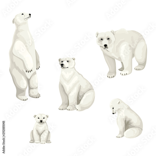 White polar bears and cubs. Set of vector isolated animals on white background.