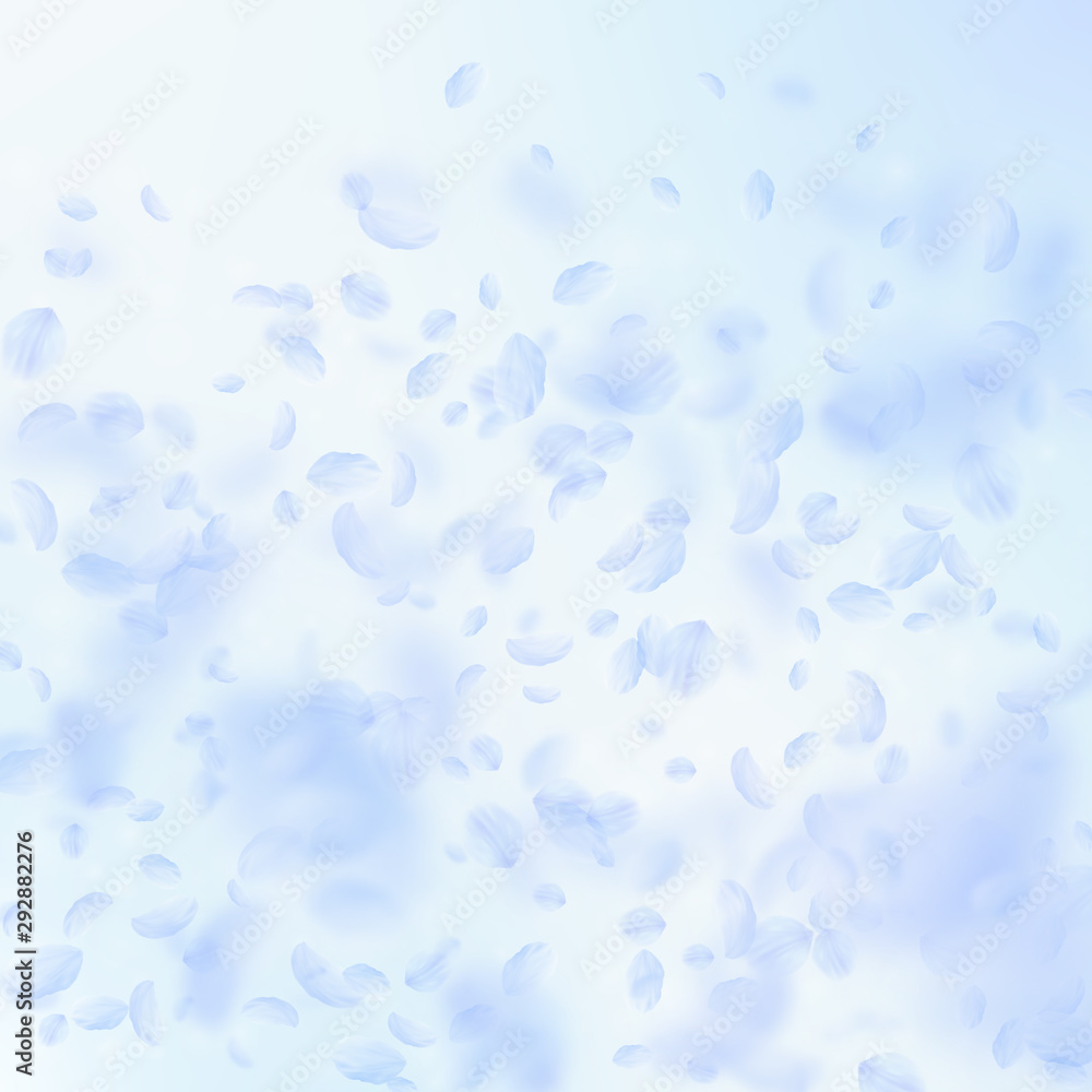 Light blue flower petals falling down. Pretty roma Light blue flower petals falling down. Pretty roma