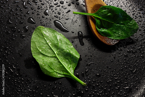 FRESH SPINACHS LEAVES WITH SPOON COOKED WITH FRESH WATER DROPS 6. HEALTHY VEGETARIAN FOOD photo