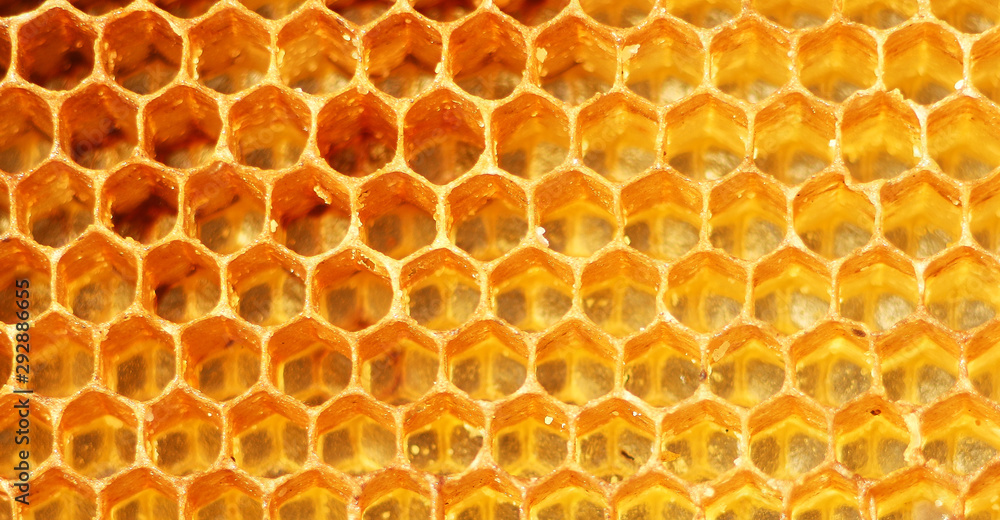 Background texture and pattern of a section of wax honeycomb Background texture and pattern of a section of wax honeycomb