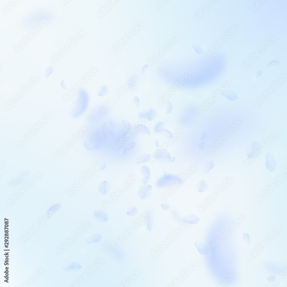 Light blue flower petals falling down. Delightful 