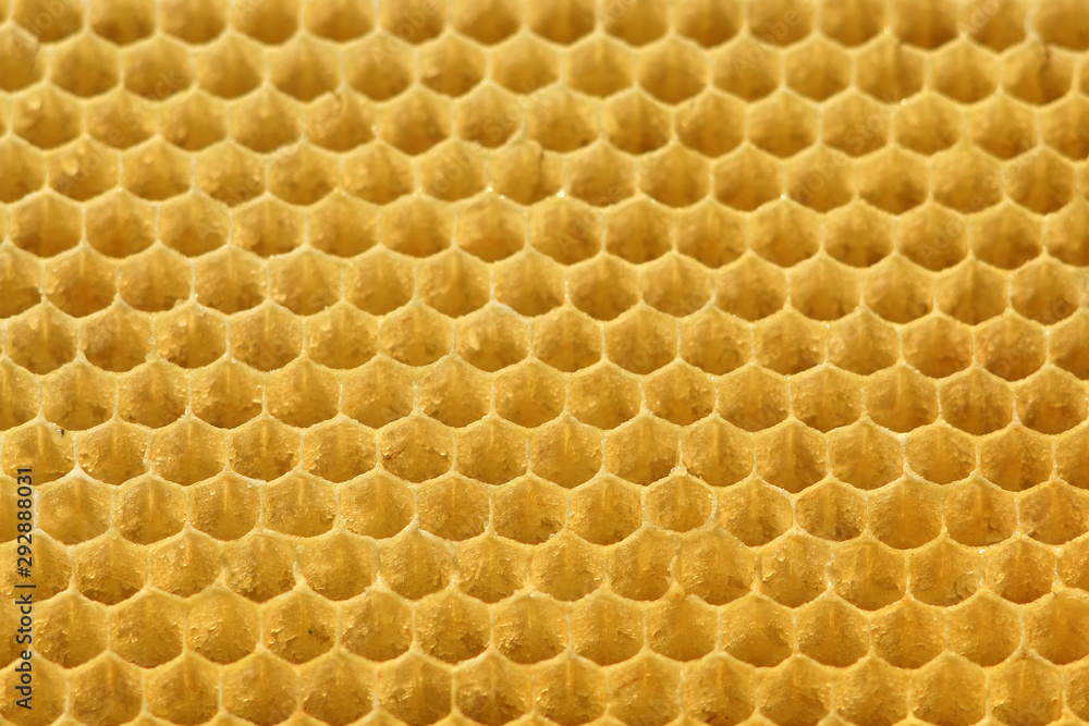 Background texture and pattern of a section of wax honeycomb Background texture and pattern of a section of wax honeycomb