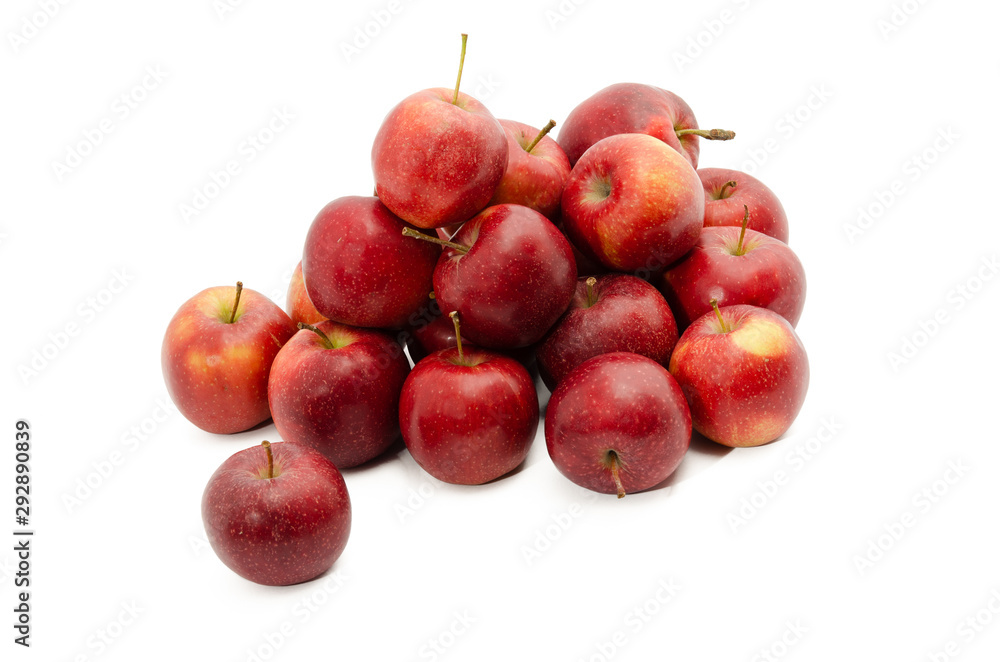 Red Prince Apfelsorte Red Prince Apfelsorte
