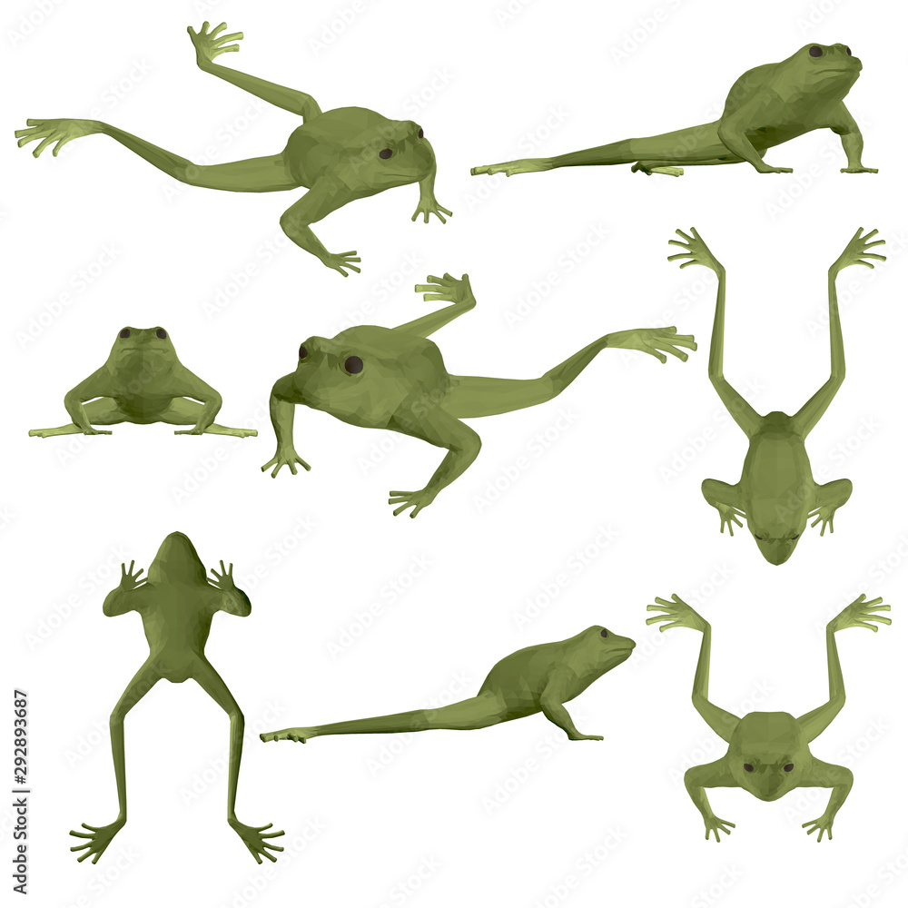 Fototapeta premium Set with polygonal frog. Green frog in different positions. 3D. Vector illustration.