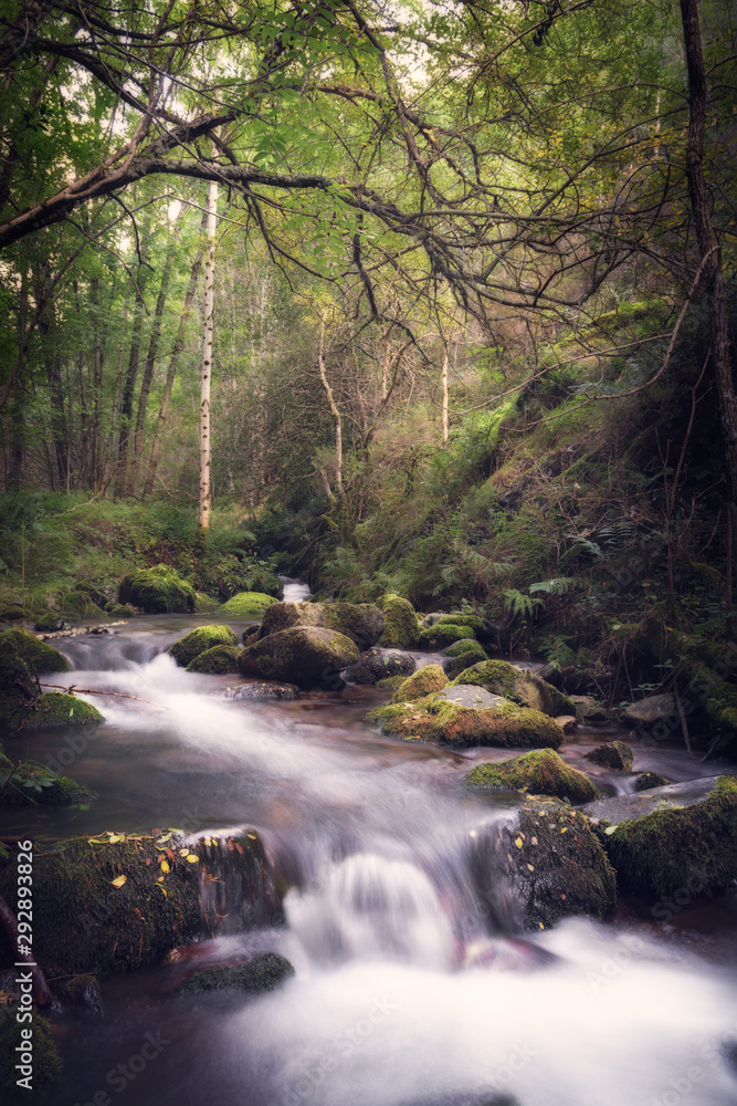 Obraz premium River and waterfall in forest