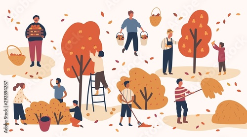 Different people picking fruits and berries, remove hay and leaves. Men and women work on a farm, in the orchards. Agricultural workers harvest in autumn. Vector illustration in flat cartoon style.