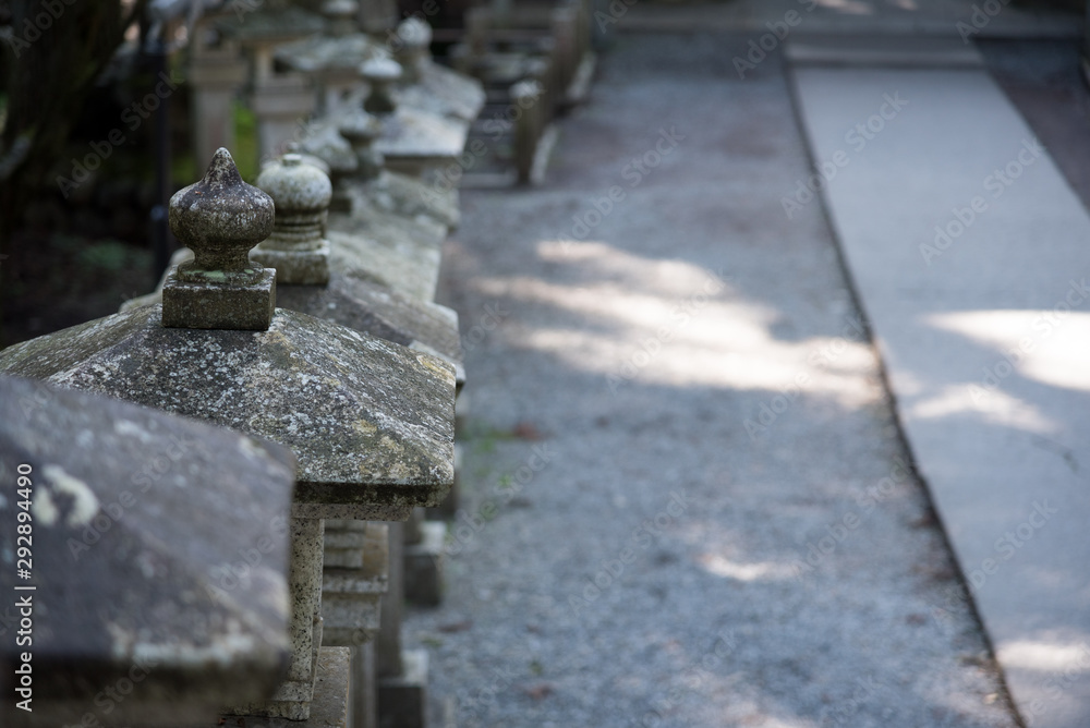 石燈籠のある神社の参道 石燈籠のある神社の参道